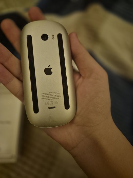 Apple magic mouse 2