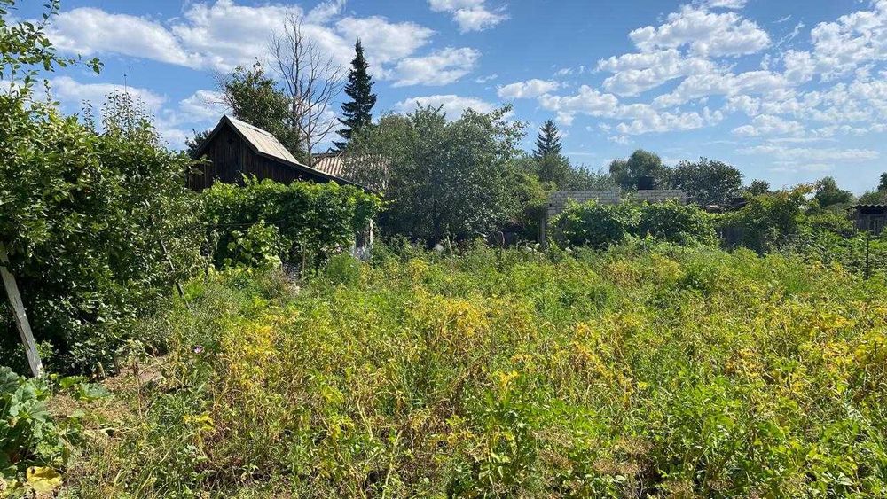 Продам дачу сад "Здоровье"