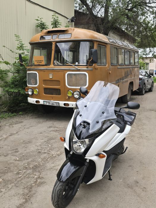 Honda Faze S type