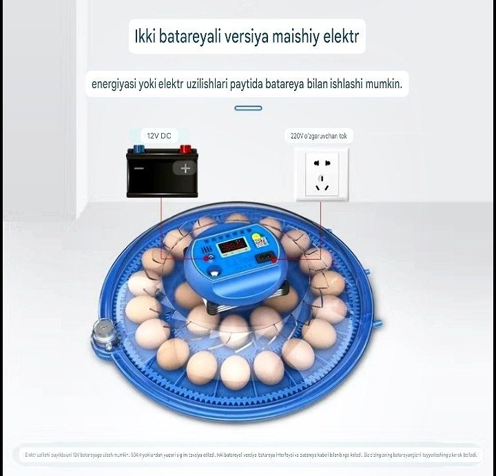 Inkubator Avtomat 26 ta lik