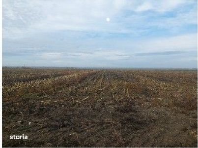 Teren extravilan Lunca Banului, ID: R2944332