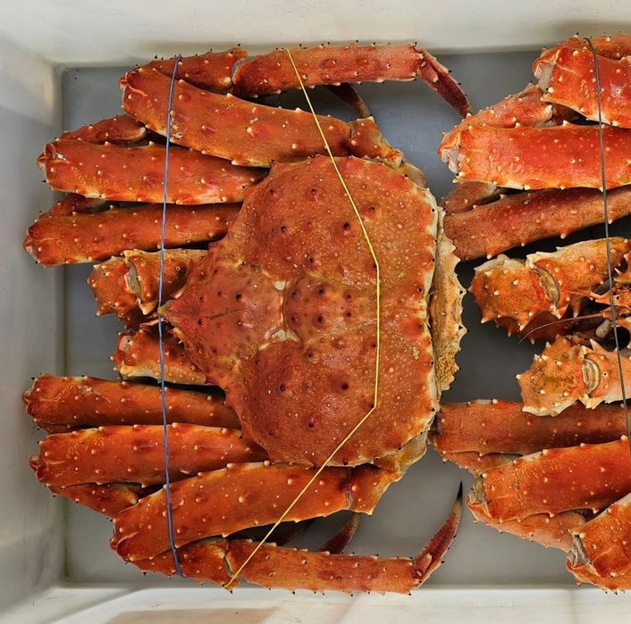 Живые раки,доставка раков,камчатский краб,коешни краба