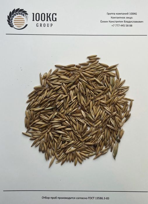 Овёс от производителя