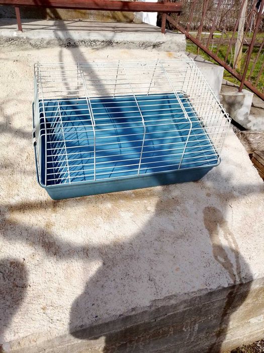 Продавам калифорнийски зайци