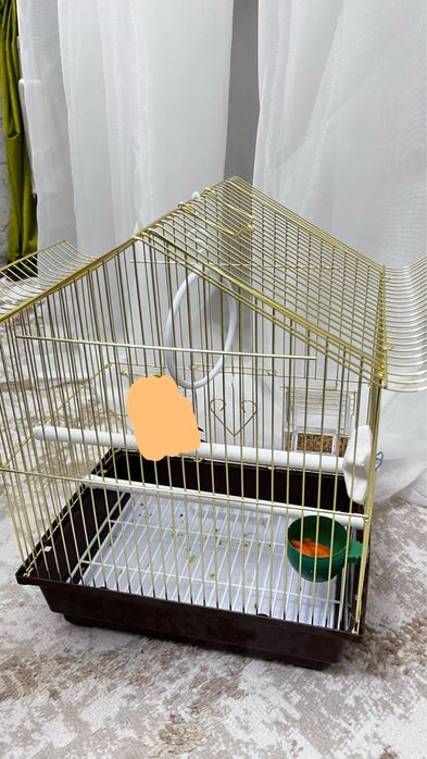 Клетка попугай (тор)