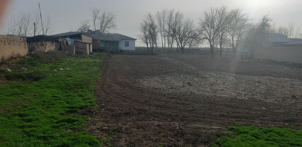 Жиззахда Участка 27 сотх