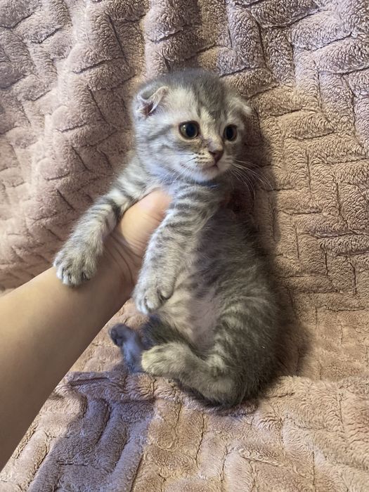 Обмен на планшет