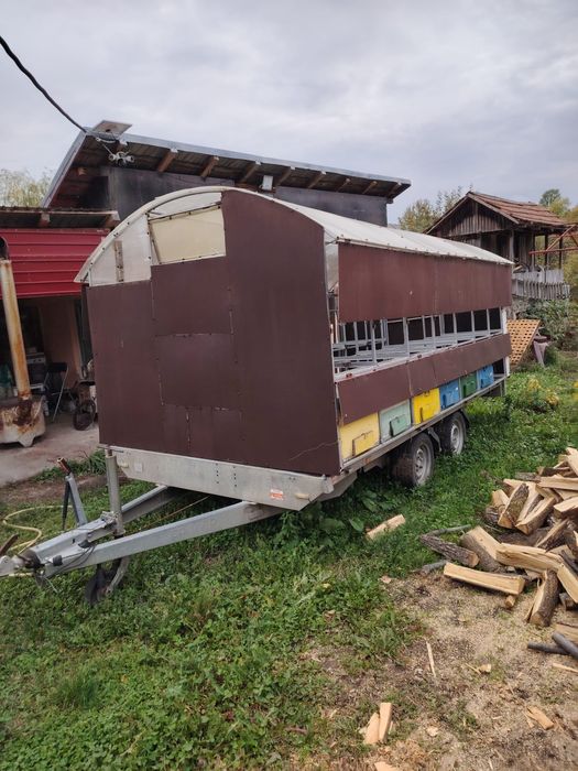 Pavilion apicol 28 familii