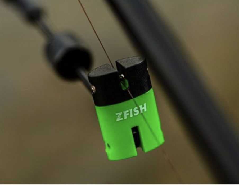 Swingher zgish PESCUIT