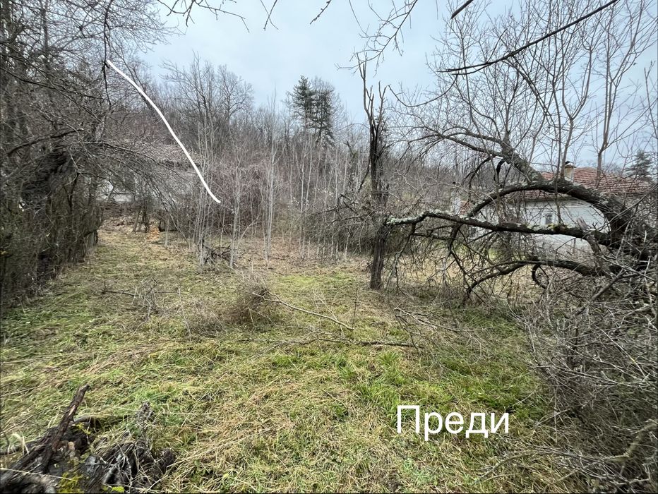 Професионално почистване на дворове, рязане на дървета и косене