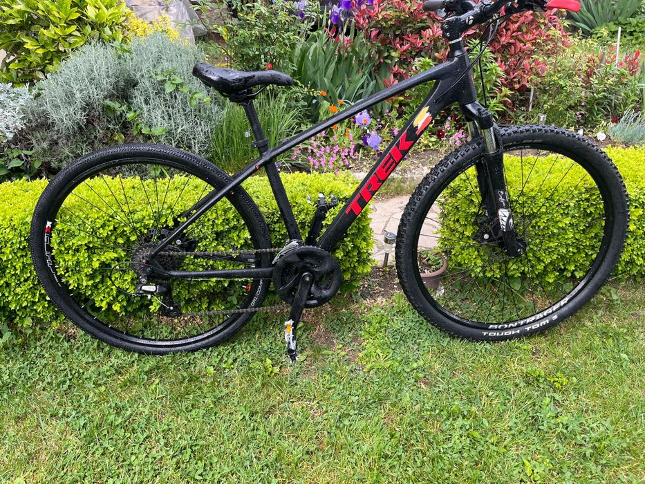 Trek Dual sport 1 alpha gold aluminium