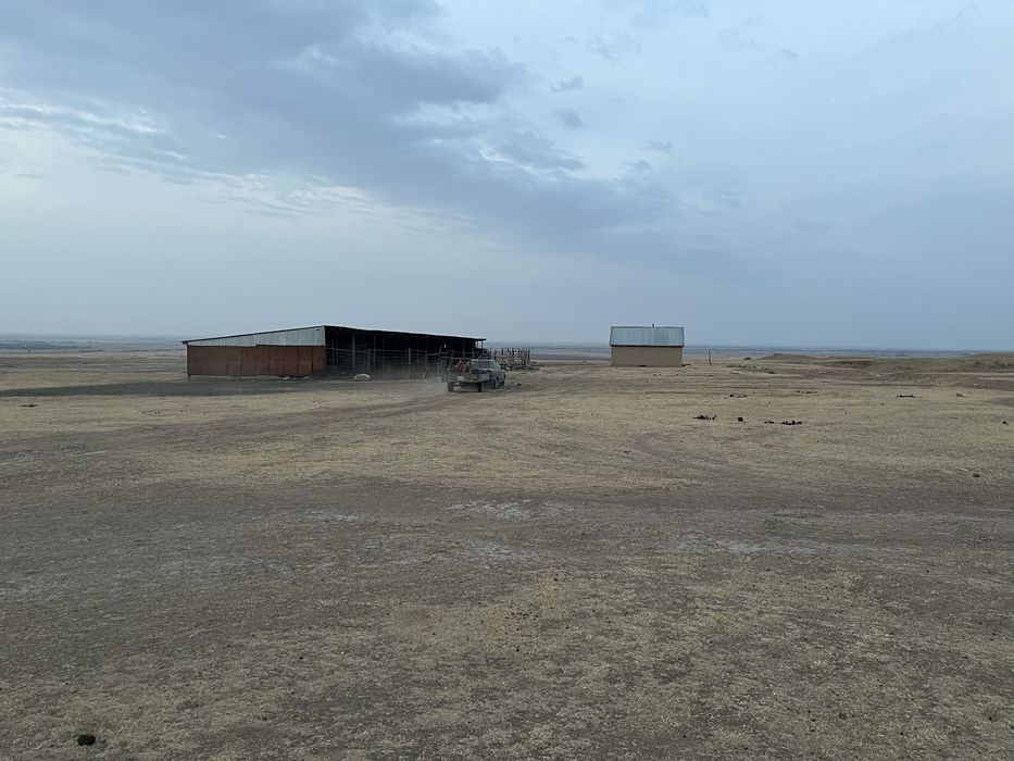 Фазенда (баз) сатылады