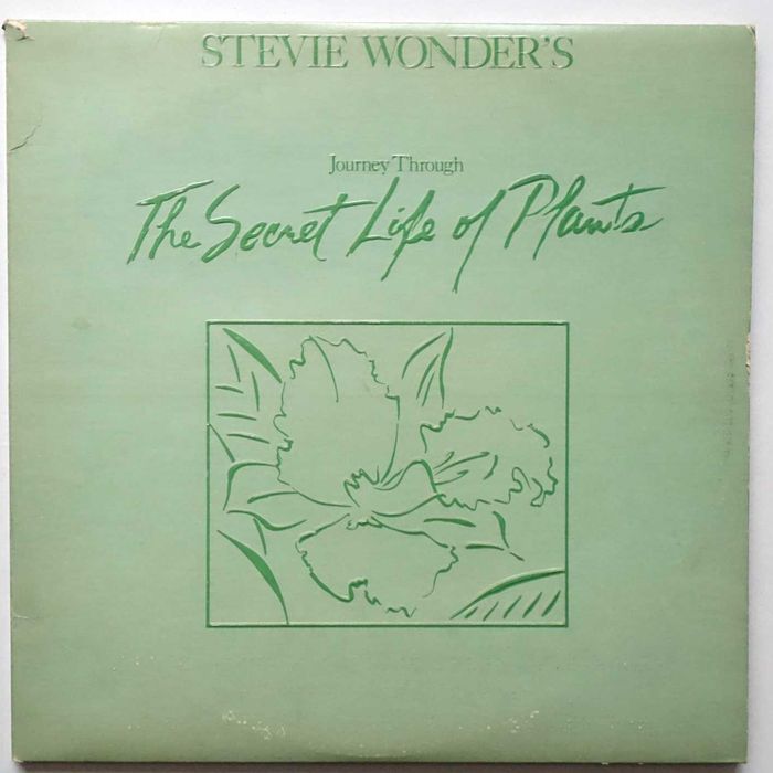 Плочи с музика на STEVIE WONDER