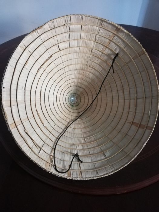 Панама вьетнамская