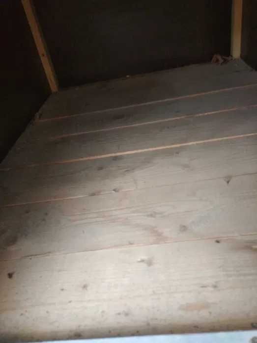 cusca caine talie mare