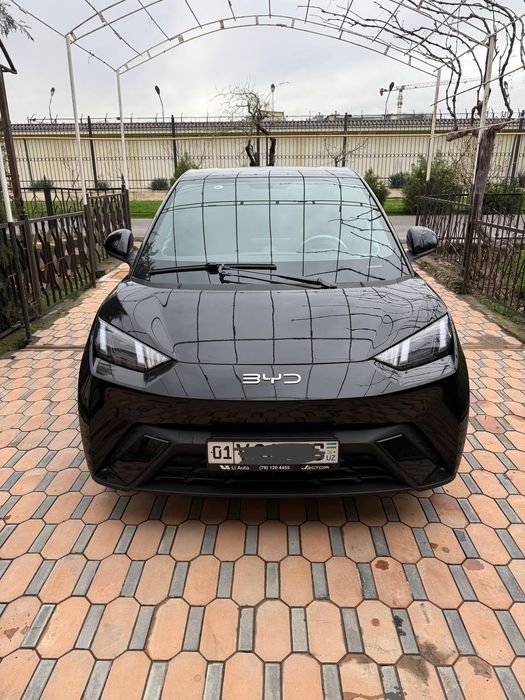 BYD siguli idial sastayana