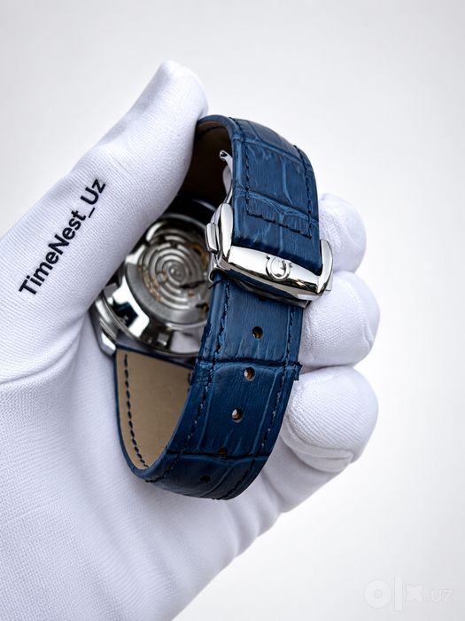 Omega Seamaster Aqua Terra Watch