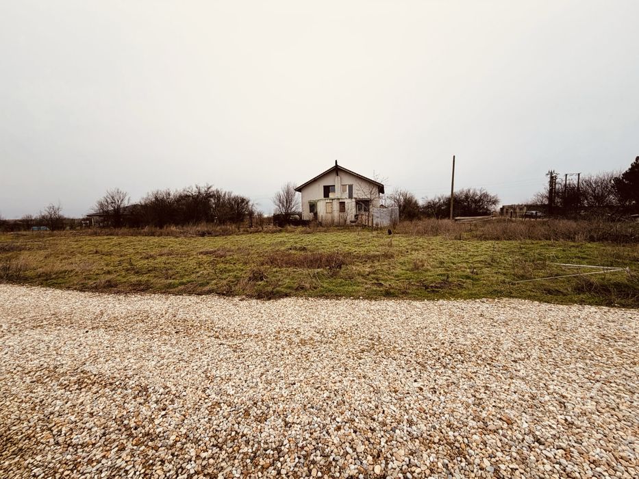 Vand treren in 1decembrie copaceni