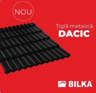 Meseriași acoperișuri