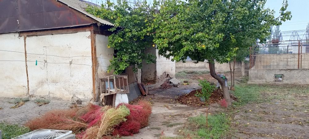 10 суток жой сотилади нархи келишилган холда