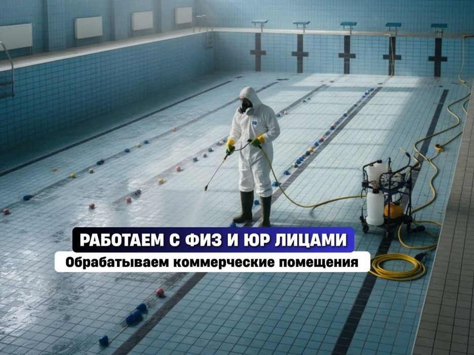 Дезинфекция от насекомых