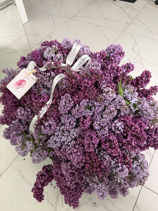 сирень 60к алынған 30к берем