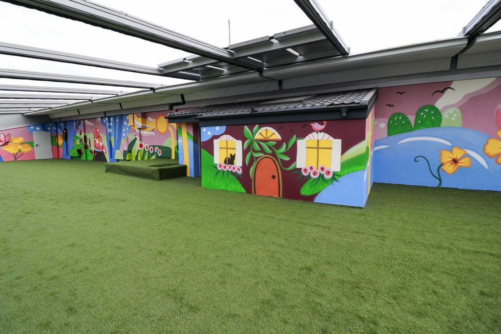 Pictura pe Pereti interior/exterior