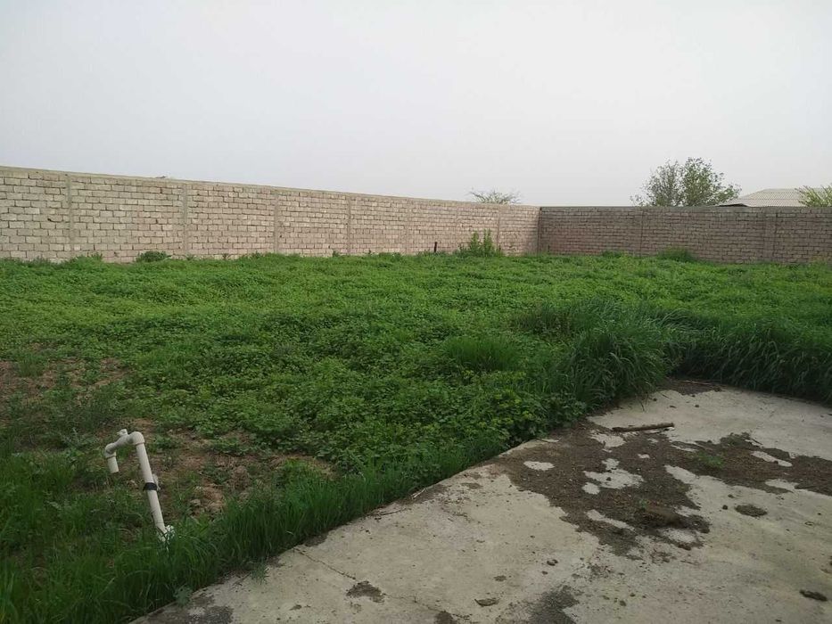 Срочно продается дача-уютный дом на 3 участках ТАШМОРЕ