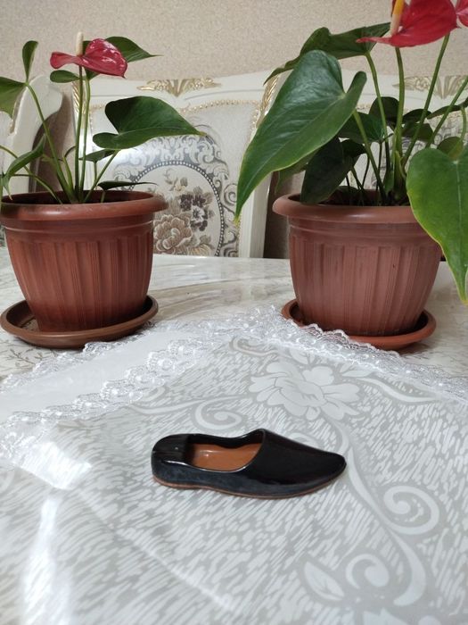 Пепельница галоша