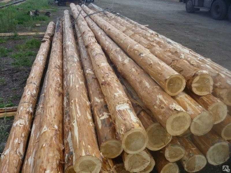 Сифатли ва арзон нархларда Болор 6 м Д