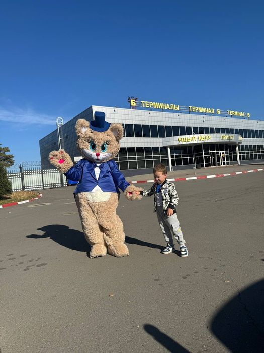 Ростовая кукла лабубу,  кот