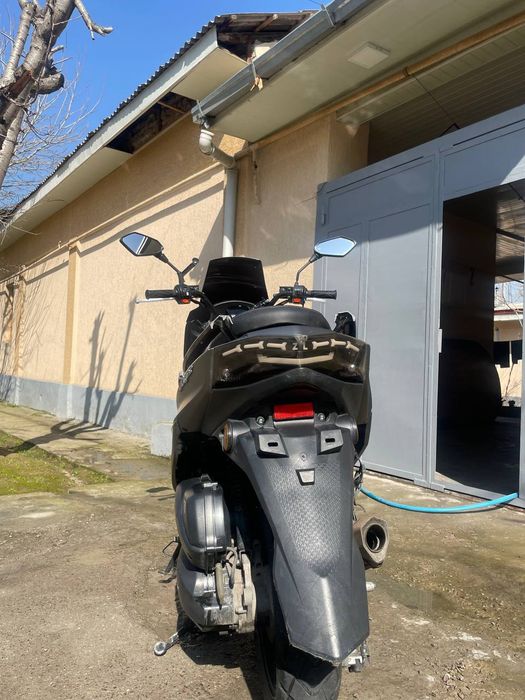 Tigr skutr tiger gst