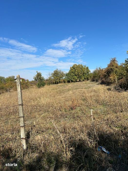 Teren intravilan de vanzare, 2600 mp, zona Carcea