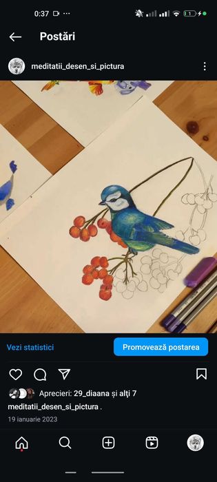 Meditații admitere liceu/gimnaziu arte plastice