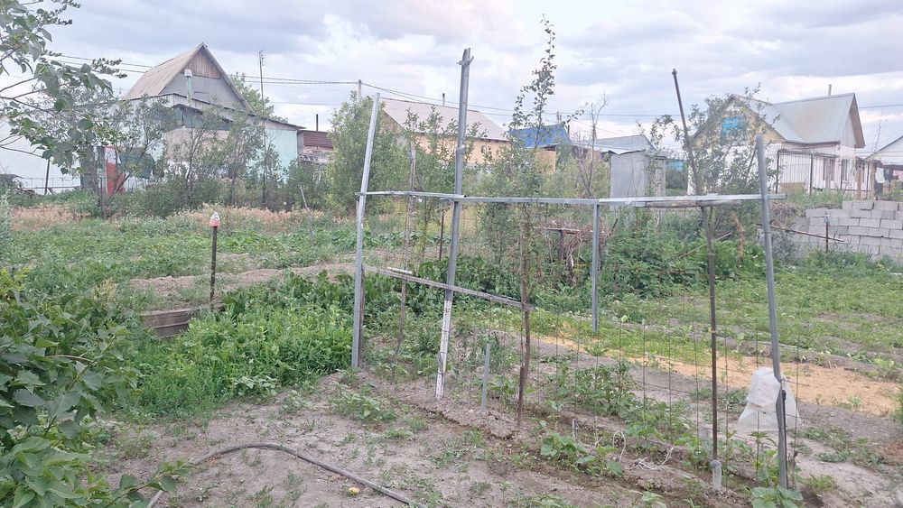 Продам живой дом