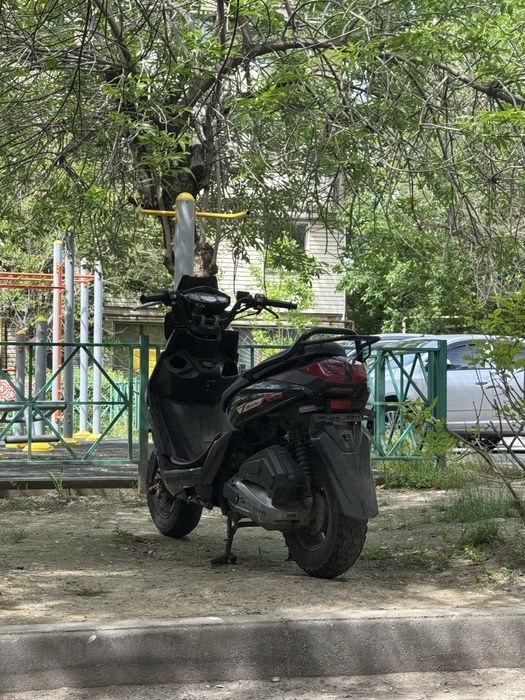 самурай мопед.