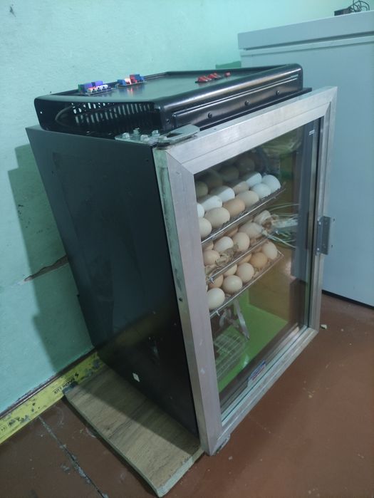 Инкубатор сатылады