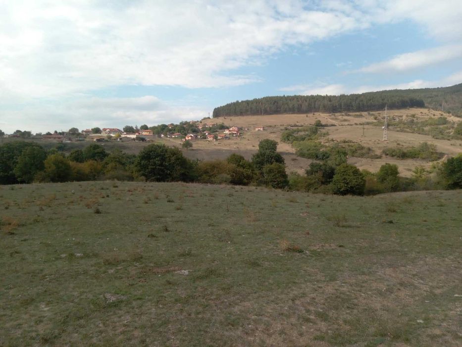 Продава се Земеделски имот в с. Змейово, Област Стара Загора -  кв.м за 5236 €/дка - Снимка #6