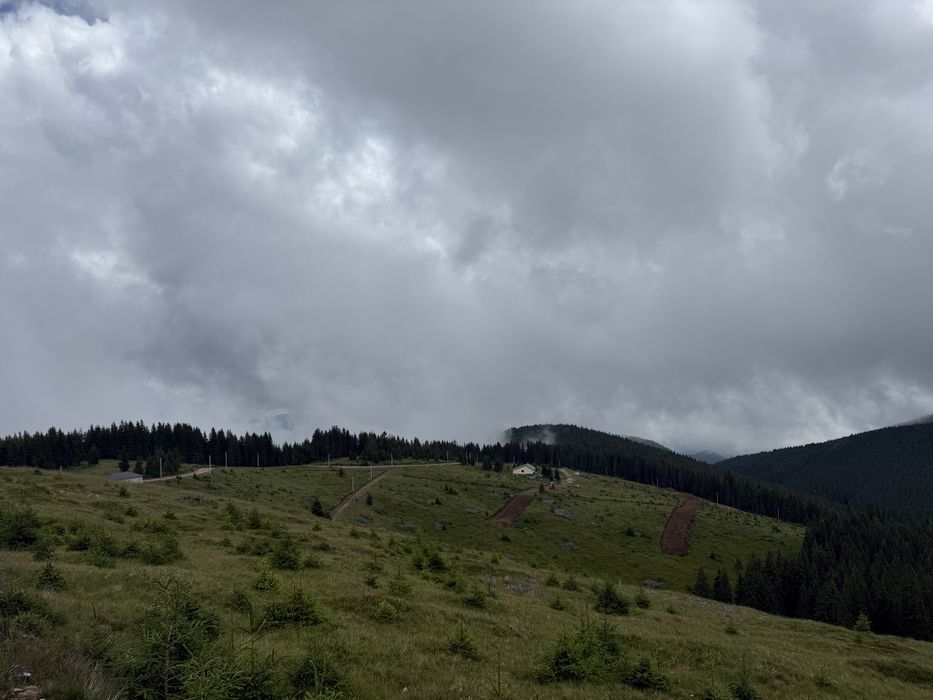 Cedez concesiune lot vf roman bolca 3