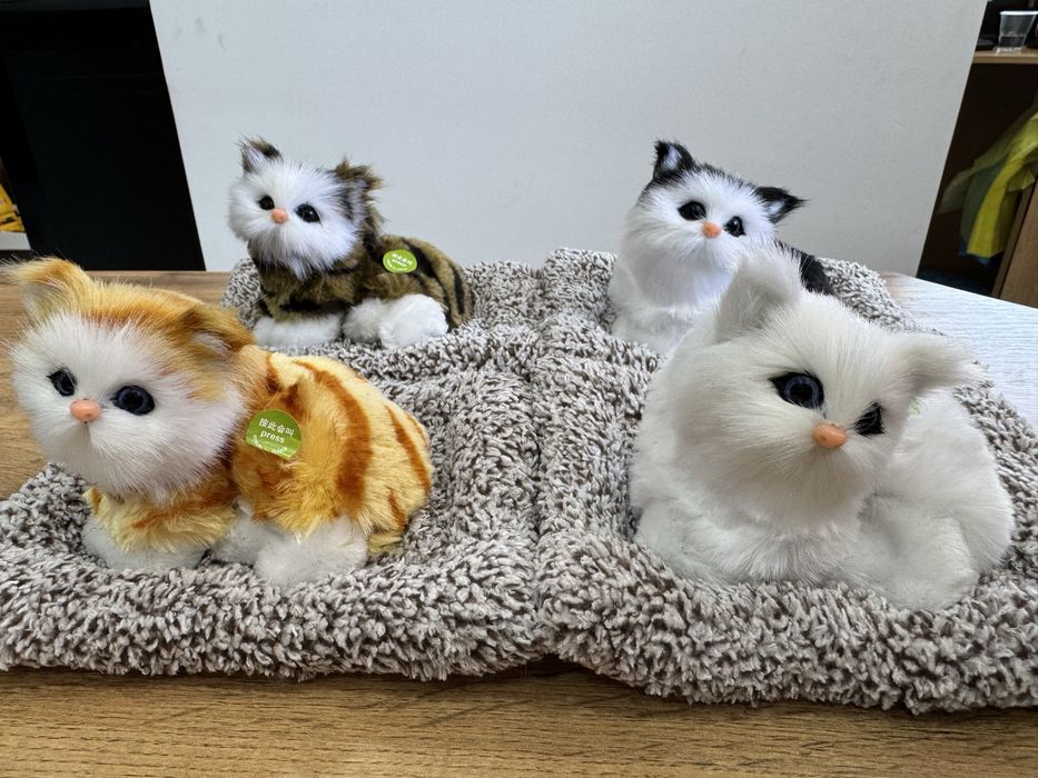 Котики для автомобиля