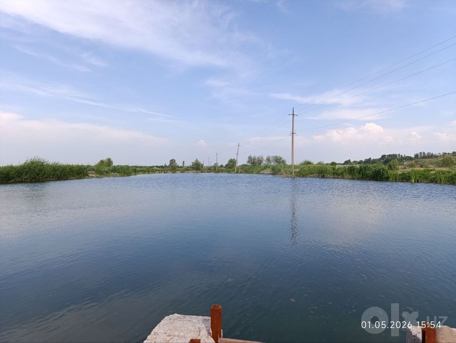 Готовый рыбпром на берегу реки на Ташморе