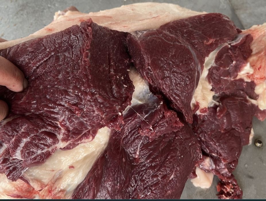 Жылқы еті, жылкы ет,  соғым мясо