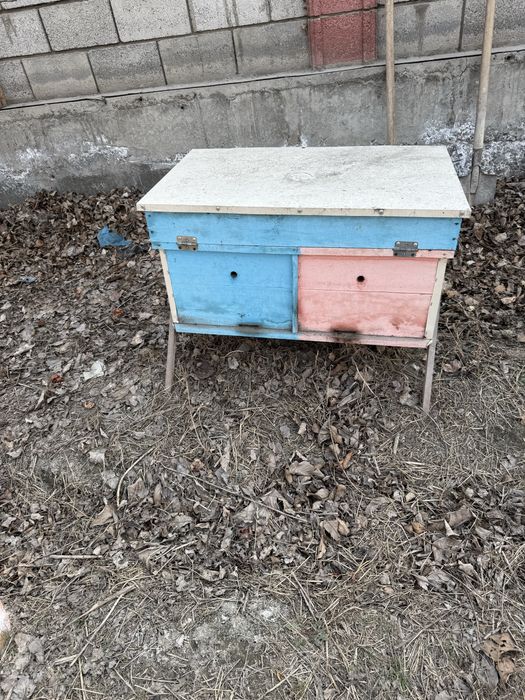 Арри яшиклари сотилади