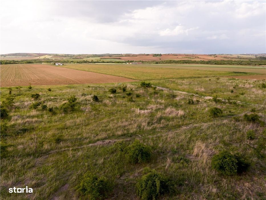RECO Teren de vanzare Paleu 1025mp