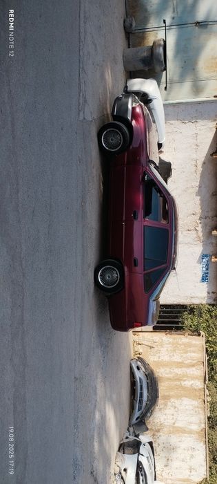 Neksya2 sons bardoviy svet