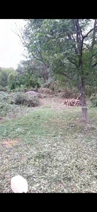 Defrișări  terenuri