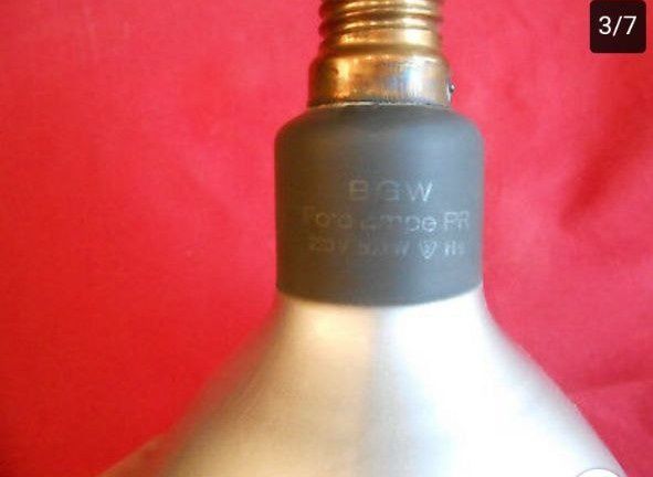 Оригинална фото лампа PR  220V 500W BGW Original Fotolampe PR für Aufn