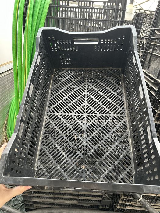 Голландский ящик из под тюльпанов