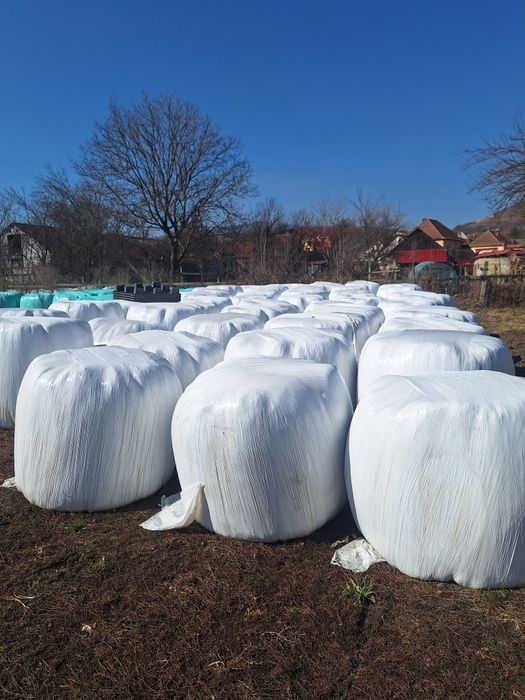 Vand baloti infoliati