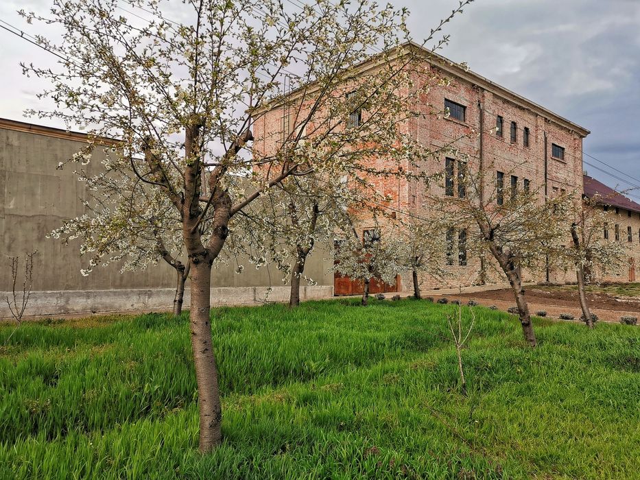 Proprietar vând o clădire industrială 900 de m utili, în Nădlac